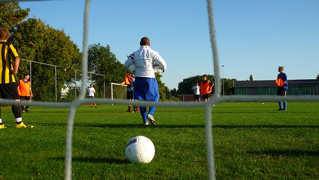 这不仅有助 这不仅有助