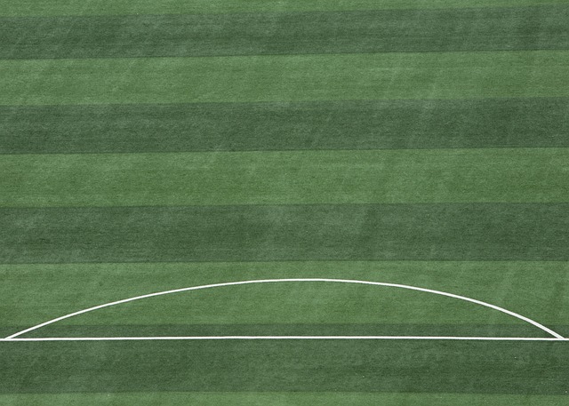 练和灵活的 练和灵活的