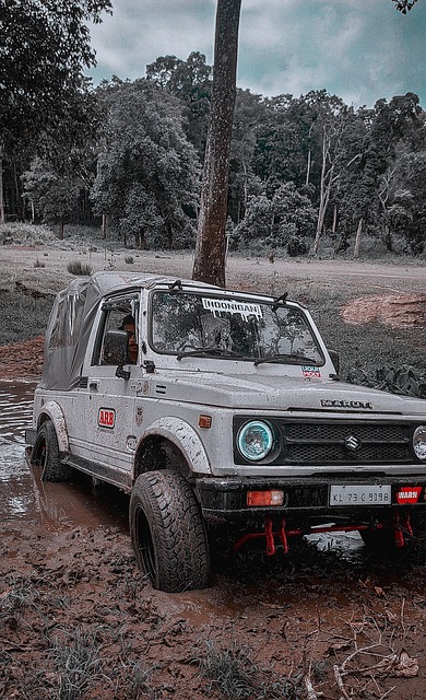 的广泛关注 的广泛关注