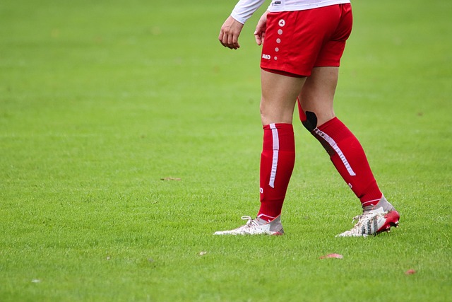 格鲁吉亚队 格鲁吉亚队