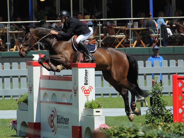 立更完善的 立更完善的