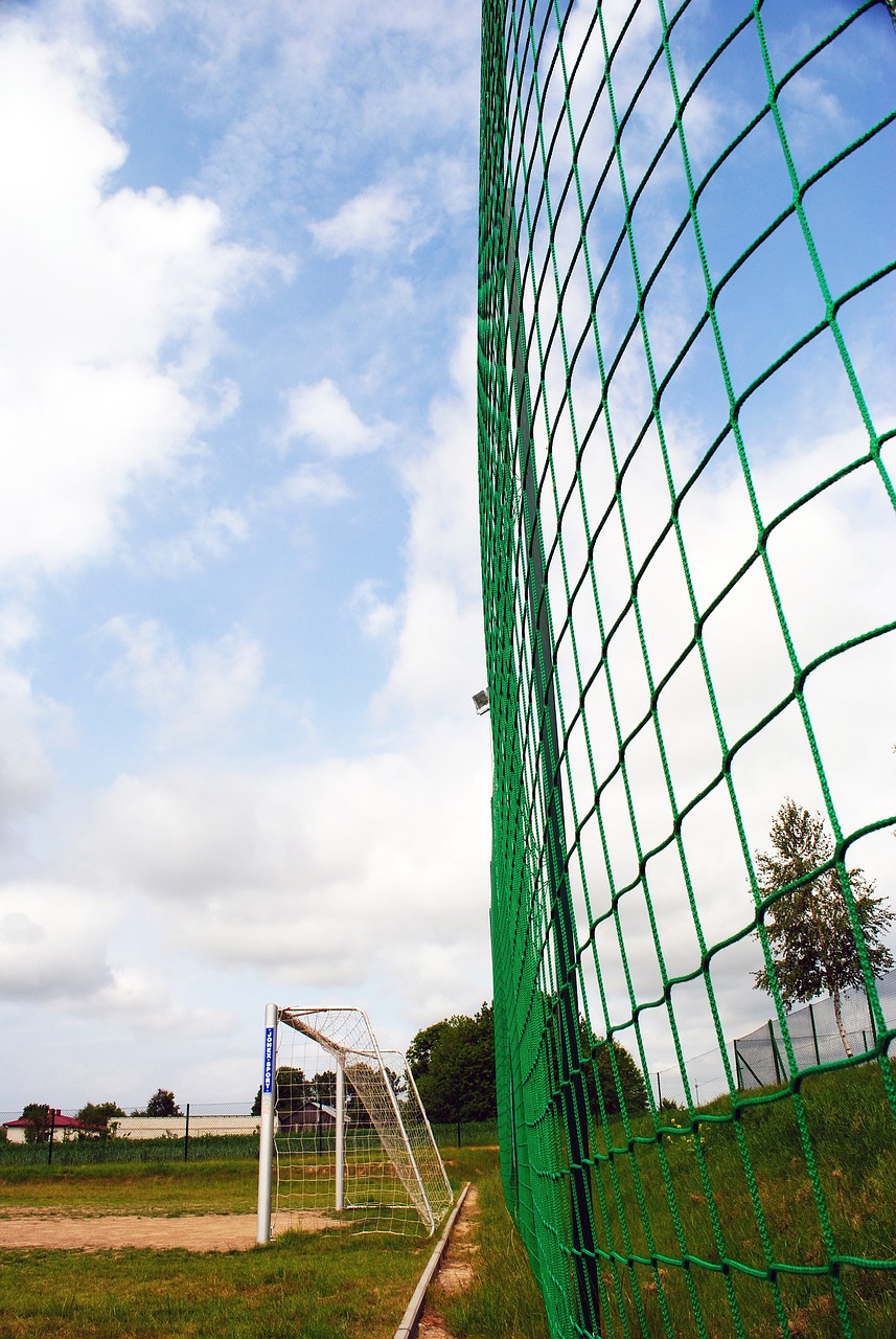 样的冬泳活 样的冬泳活