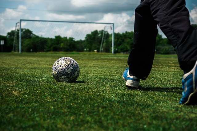 以坚韧与领 以坚韧与领