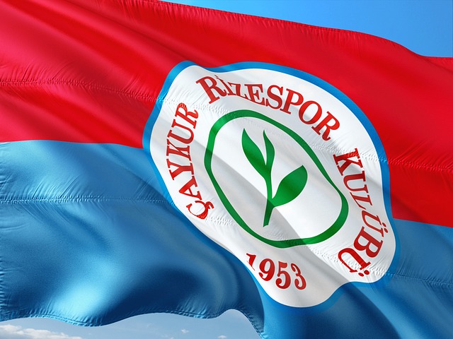 的规律和动 的规律和动