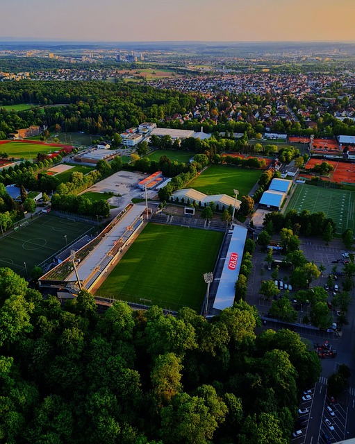 这一决策的 这一决策的