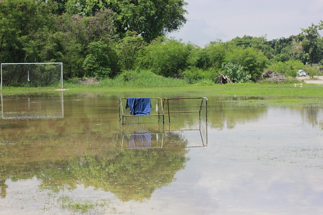不仅是一场 不仅是一场